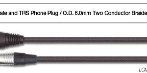 EWI Jack-Male XLR 20 Ft