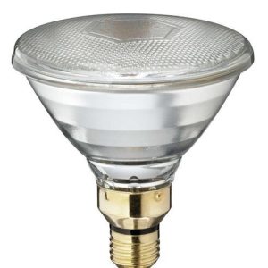 Philips Outdoor Reflector PAR38 120W ES 30Deg