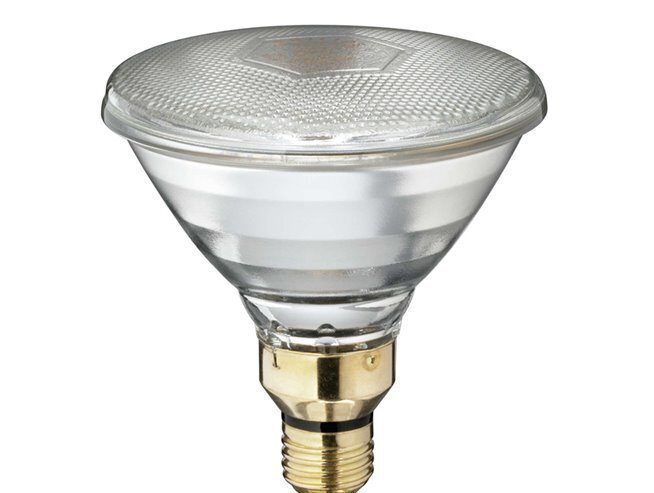 Philips Outdoor Reflector PAR38 120W ES 30Deg