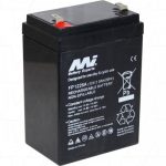 Replacement Battery for Samson Express Speaker - front view