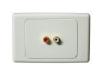 Wall Plate (Clipsal 2000) with 2 Female RCA