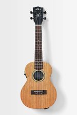 Kala James Hill Signature All Solid Mahogany Concert with EQ with Bag