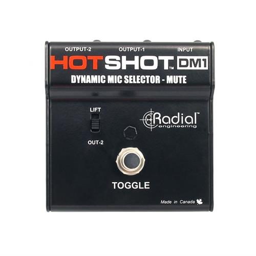 Mic switcher toggles signal from PA to monitors. For dynamic mics