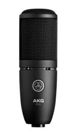 Akg P120  High-performance general purpose recording microphone