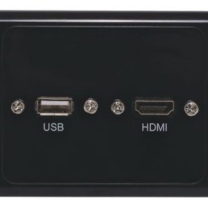 HDMI USB A Black Wallplate Dual Cover With Flyleads - front view