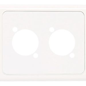 Wallplate For Dual D Series Connectors