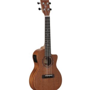 Alvarez RU22CCE Concert Uke Mah Matte w/electrics