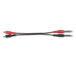 EWI AMC10 – Dual RCA Male to Dual 1/4" TS Jack Audio Cable (10 ft / 3 m)