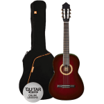 Guitar Classic Pack Ashton 3/4 Trans Purple - front view