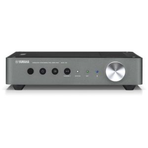 Yamaha Preamp+Source/ AirPlay/ Bluetooth/ Digital In+Out/ RCA In+Out/ Sub Out