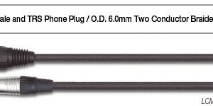 EWI Jack-Male XLR 20 Ft