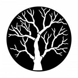 Metal Gobo - Tree Oak B Size Square Gobo - front view