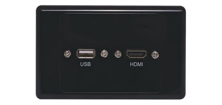 HDMI USB A Black Wallplate Dual Cover With Flyleads