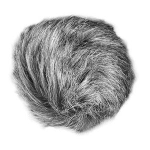 Zoom WSU-1 Universal Windscreen