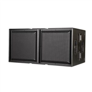 dB Technologies INGENIA IGS2 - Active Dual 18" Bass-Reflex Subwoofer - front view
